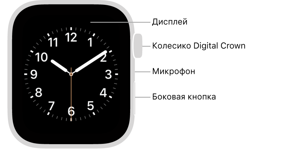 Лицевая сторона Apple Watch Series 6. На дисплее показан циферблат. Сбоку на корпусе часов показаны (сверху вниз): колесико Digital Crown, микрофон и боковая кнопка.