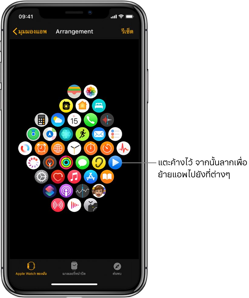 หน้าจอการจัดเรียงในแอพ Apple Watch ที่แสดงไอคอนในรูปแบบตาราง
