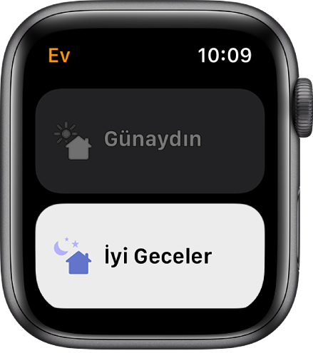Apple Watch’taki Ev uygulaması iki ortam gösteriyor: Günaydın ve İyi Geceler. İyi Geceler vurgulanıyor.
