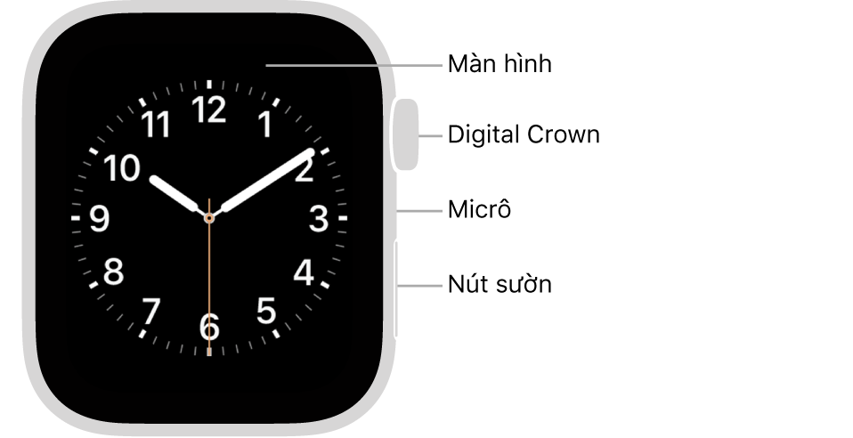 Mặt trước của Apple Watch Series 6, với màn hình đang hiển thị mặt đồng hồ và Digital Crown, micrô và nút sườn từ trên xuống dưới trên sườn của đồng hồ.