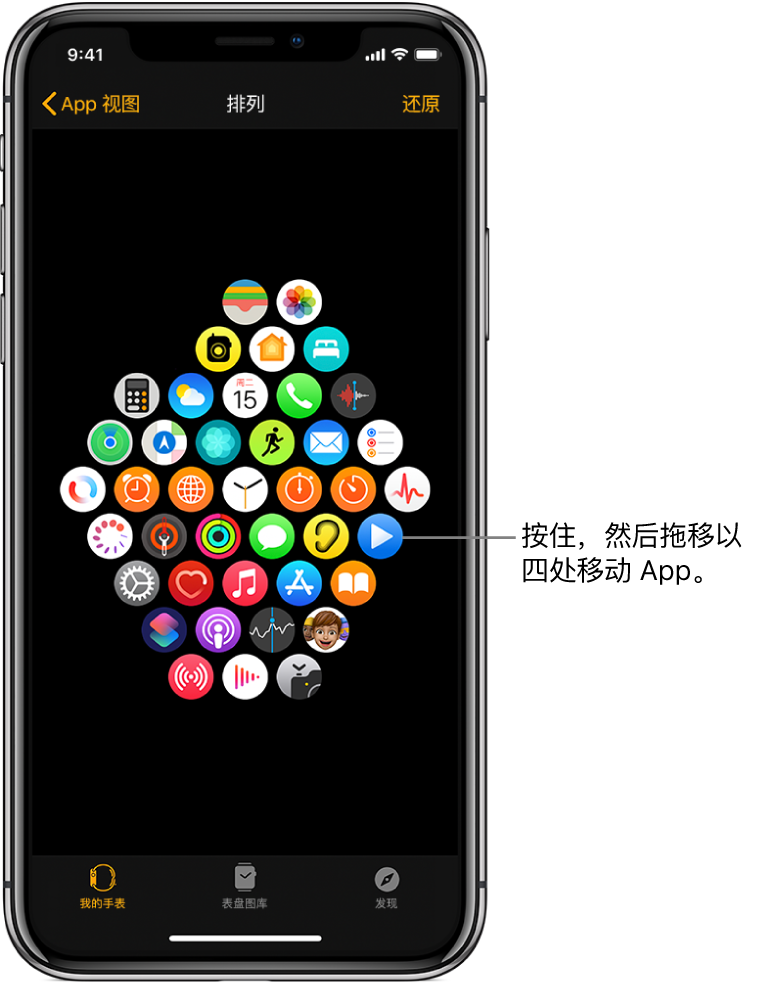 Apple Watch App 中的“排列”屏幕,按网格显示图标。