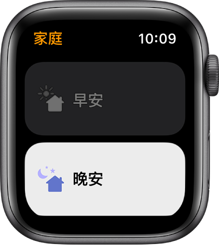 Apple Watch 上的「家庭」App 顯示兩個情境:「早安」和「晚安」。「晚安」已反白。