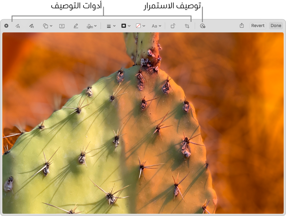 صورة في نافذة التوصيف يظهر فيها شريط الأدوات والأداة التي يتم النقر عليها لاستخدام توصيف الاستمرار على الـ iPhone أو الـ iPad القريب.