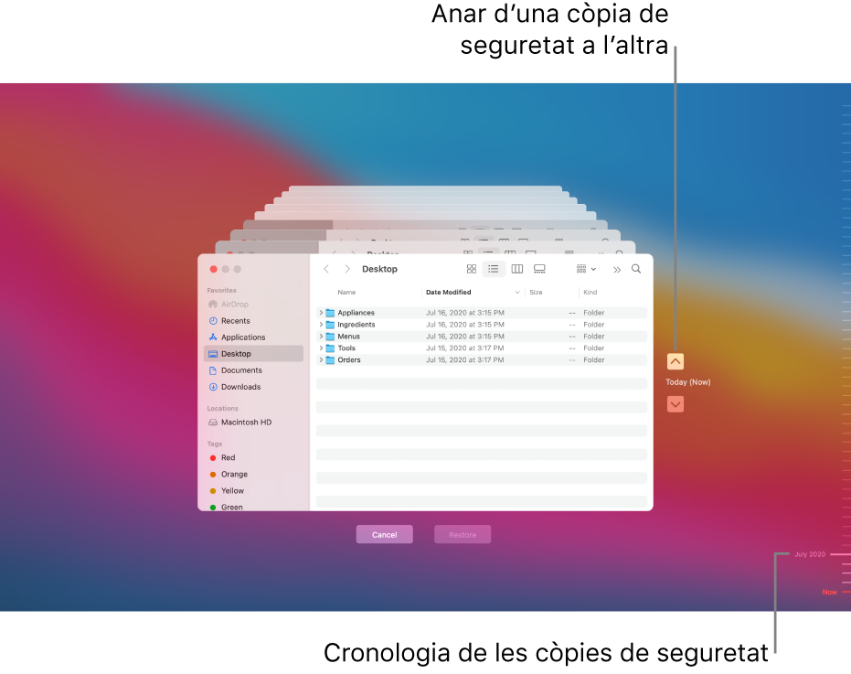 Quan obris el Time Machine, veuràs una pantalla difuminada amb diverses pantalles del Finder apilades que representen les còpies de seguretat. Fes clic a les fletxes per desplaçar-te per les còpies de seguretat (o fes clic a la cronologia de les còpies de seguretat, a la dreta) i selecciona quins arxius vols restaurar.