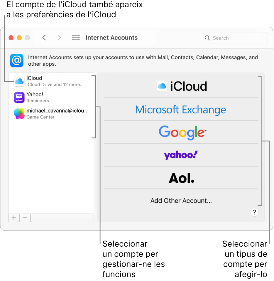 Tauler de preferències “Comptes d’Internet”, amb comptes a la dreta i els tipus de compte disponibles a l’esquerra.