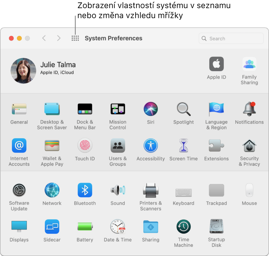 Okno Předvolby systému zobrazující tabulku s ikonami Kliknutím na tlačítko Zobrazit vše na panelu nástrojů v okně můžete předvolby systému zobrazit v seznamu nebo změnit vzhled tabulky.