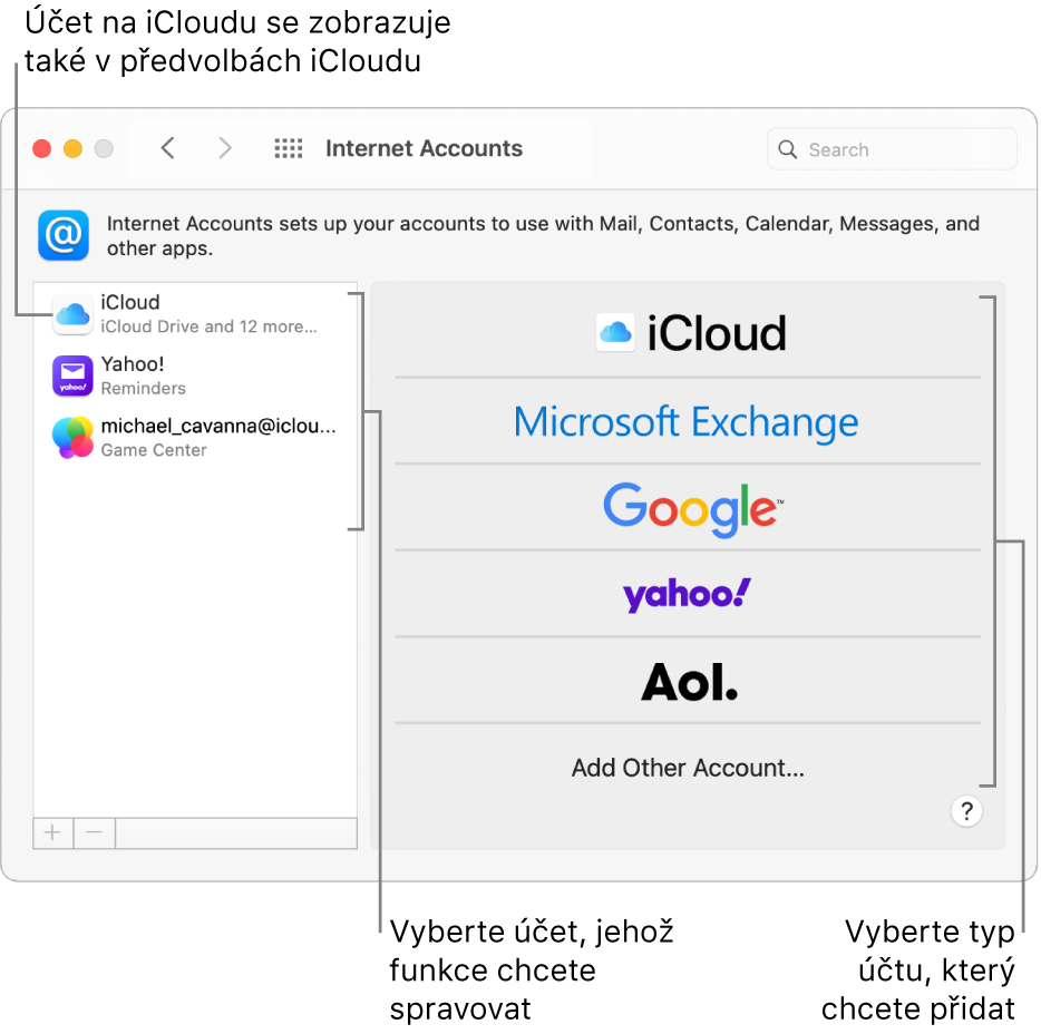 Předvolby Internetové účty s účty uvedenými vpravo a dostupné typy účtů vlevo.