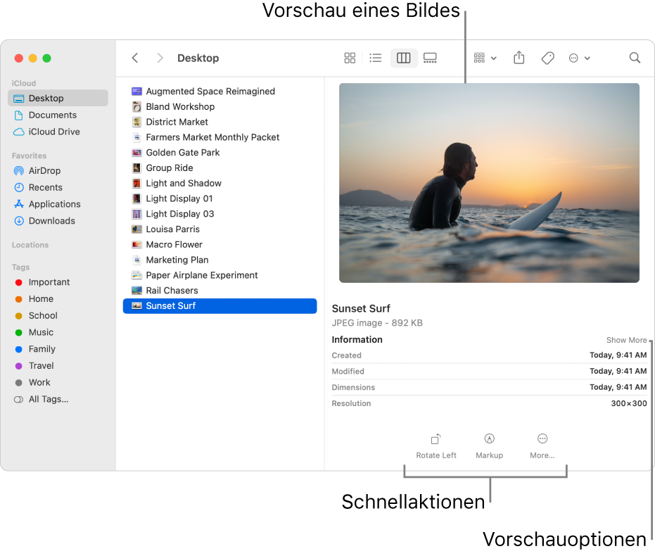 Ein Finder-Fenster mit der Finder-Seitenleiste links und einem ausgewählten Bild im Mittelteil des Fensters. Rechts ist der Vorschaubereich, in dem oben das Bild und darunter Details zum Bild zu sehen sind. Die Tasten für Schnellaktionen befinden sich unten.