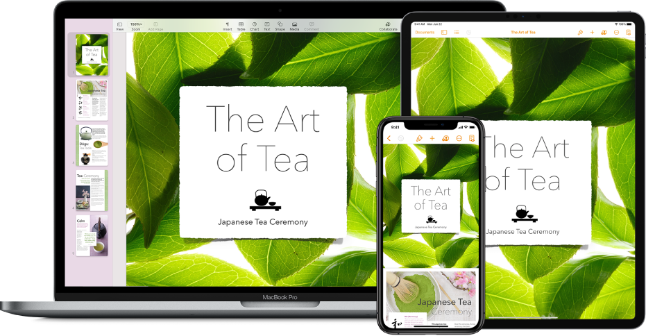 Dieselben Dateien und Ordner werden in iCloud Drive in einem Finder-Fenster auf einem Mac und in der App „iCloud Drive“ auf iPhone und iPad angezeigt.