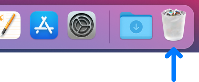 The right side of the Dock; the Bin icon is on the far right.