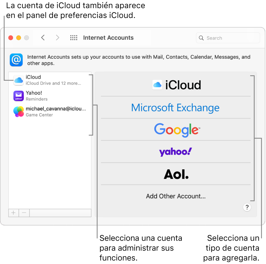 Panel de preferencias “Cuentas de Internet” con cuentas a la derecha, y tipos de cuentas disponibles en la izquierda.