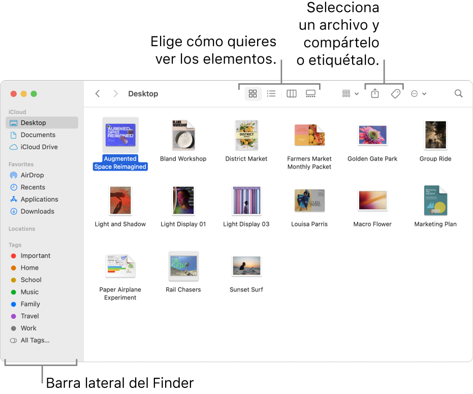 Una ventana del Finder con la barra lateral del Finder a la izquierda. En la parte superior de la ventana, hay cuatro botones que cambian la forma en que los elementos se muestran en la ventana, y botones adicionales para organizar y compartir los elementos.
