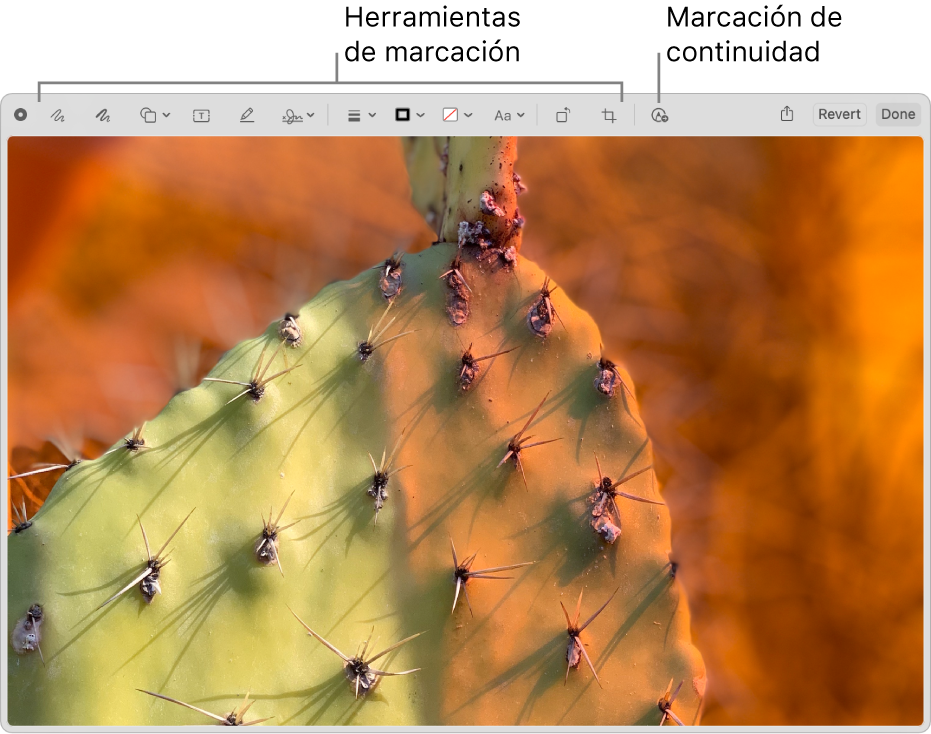 Una imagen en la ventana Marcación que muestra la barra de herramientas de Marcación y la herramienta en la que se debe hacer clic para usar la marcación de continuidad en un iPhone o un iPad cercano.