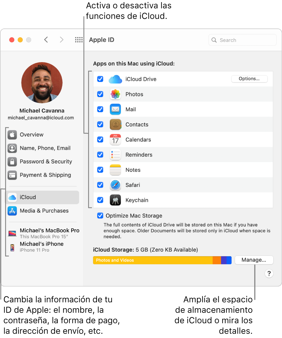 Panel de preferencias iCloud con todas las funciones seleccionadas.