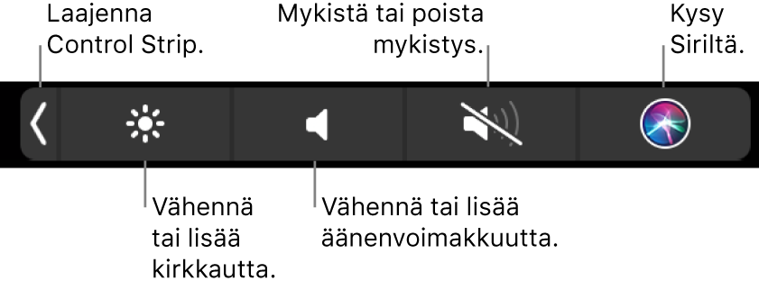 Pienennetyssä Control Stripissä on painikkeet, joilla voidaan (vasemmalta oikealle) laajentaa Control Strip, lisätä tai vähentää näytön kirkkautta ja äänenvoimakkuutta, mykistää tai poistaa mykistys sekä kysyä Siriltä.