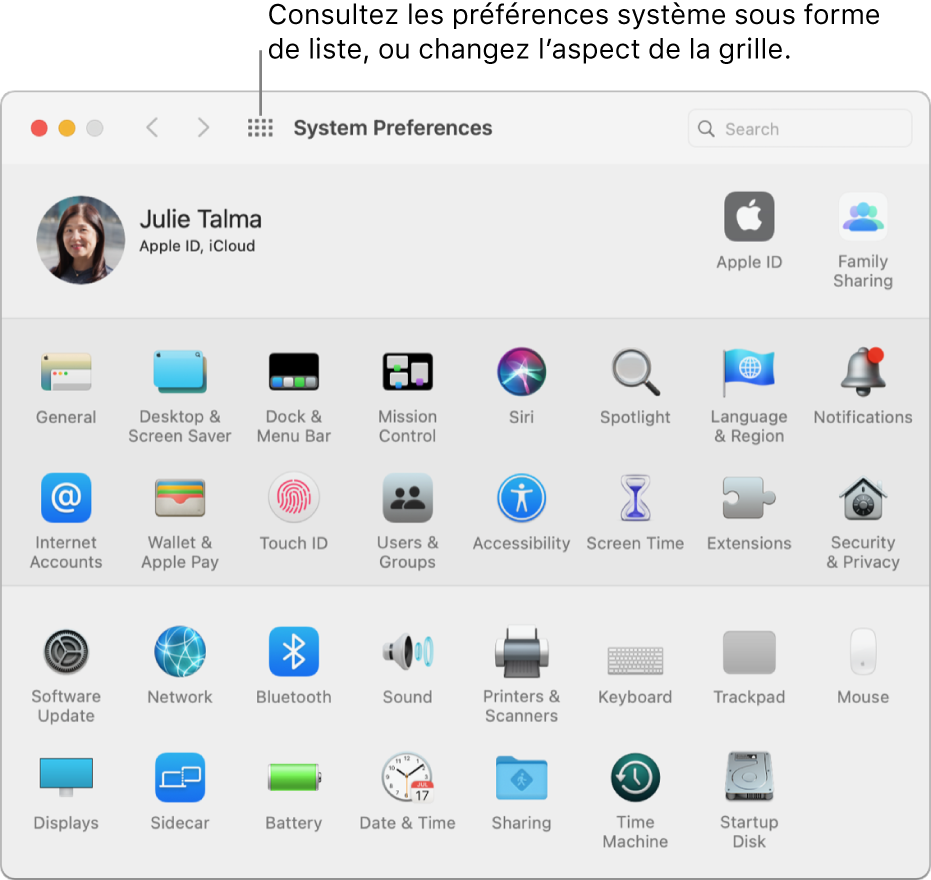 La grille d’icônes dans la fenêtre de Préférences Système. Cliquez sur le bouton Tout afficher dans la barre d’outils de la fenêtre pour afficher les préférences système sous forme de liste, ou pour changer l’aspect de la grille.