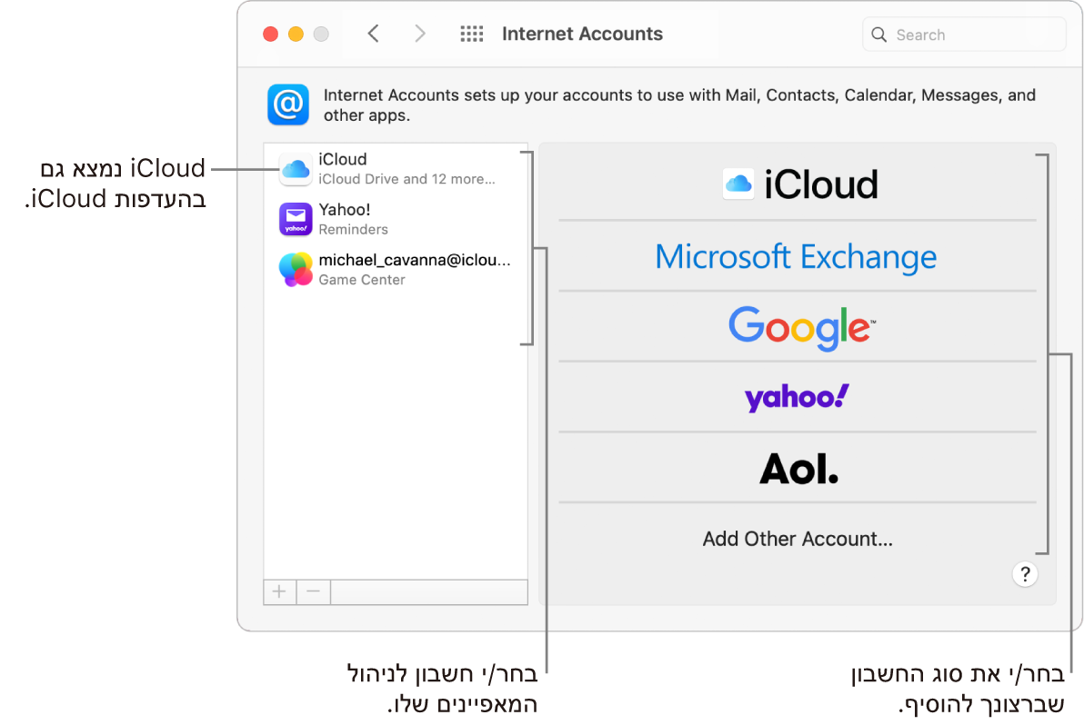העדפות ״חשבונות אינטרנט״ כאשר חשבונות מוצגים מימין וסוגי חשבונות זמינים מפורטים משמאל.