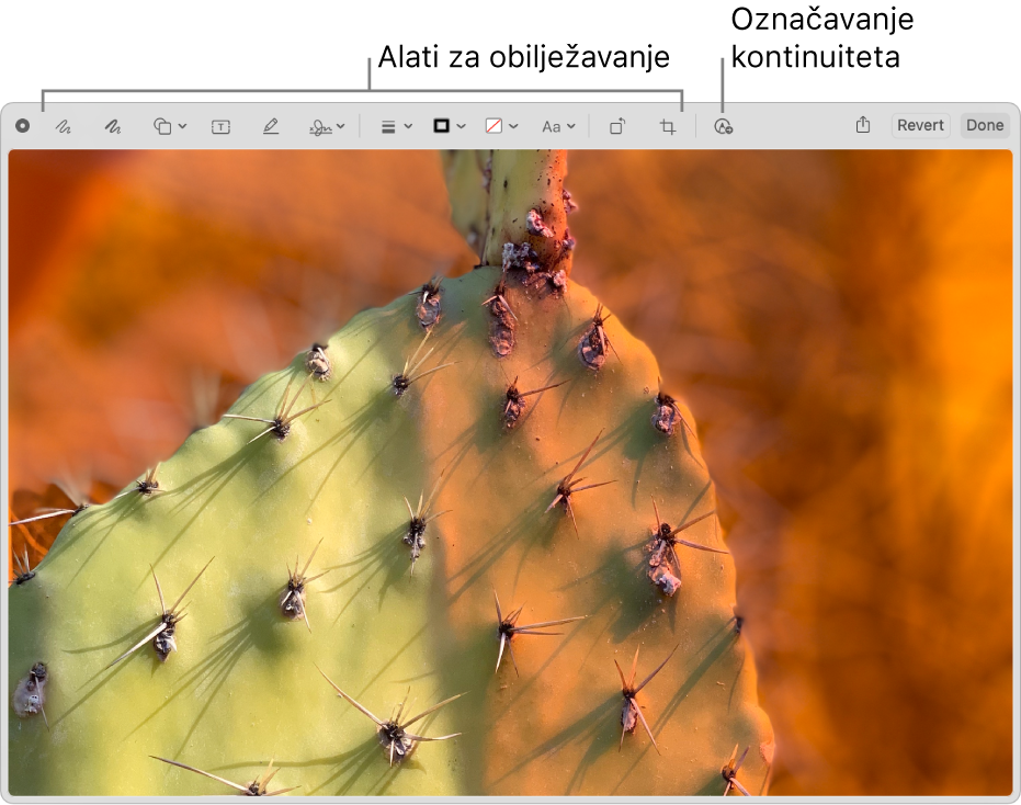 Slika u prozoru Obilježavanje s prikazom alatne trake s alatima obilježavanja i alatom za korištenje Obilježavanja kontinuiteta na iPhoneu ili iPadu u blizini.
