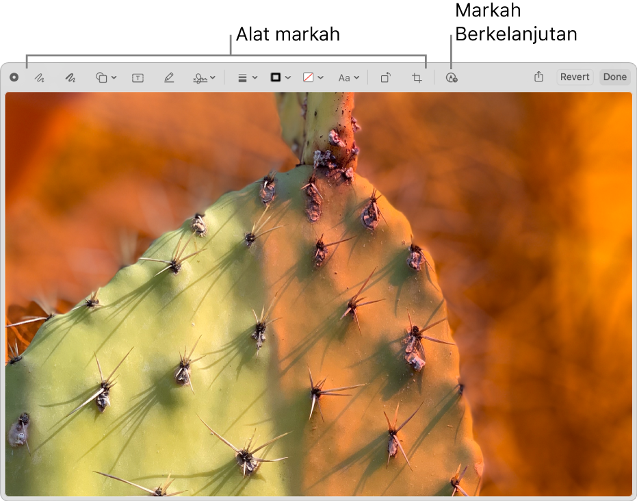 Gambar di jendela Markah menampilkan bar alat dari alat Markah dan alat untuk diklik untuk menggunakan Markah Berkelanjutan di iPhone atau iPad di sekitar.