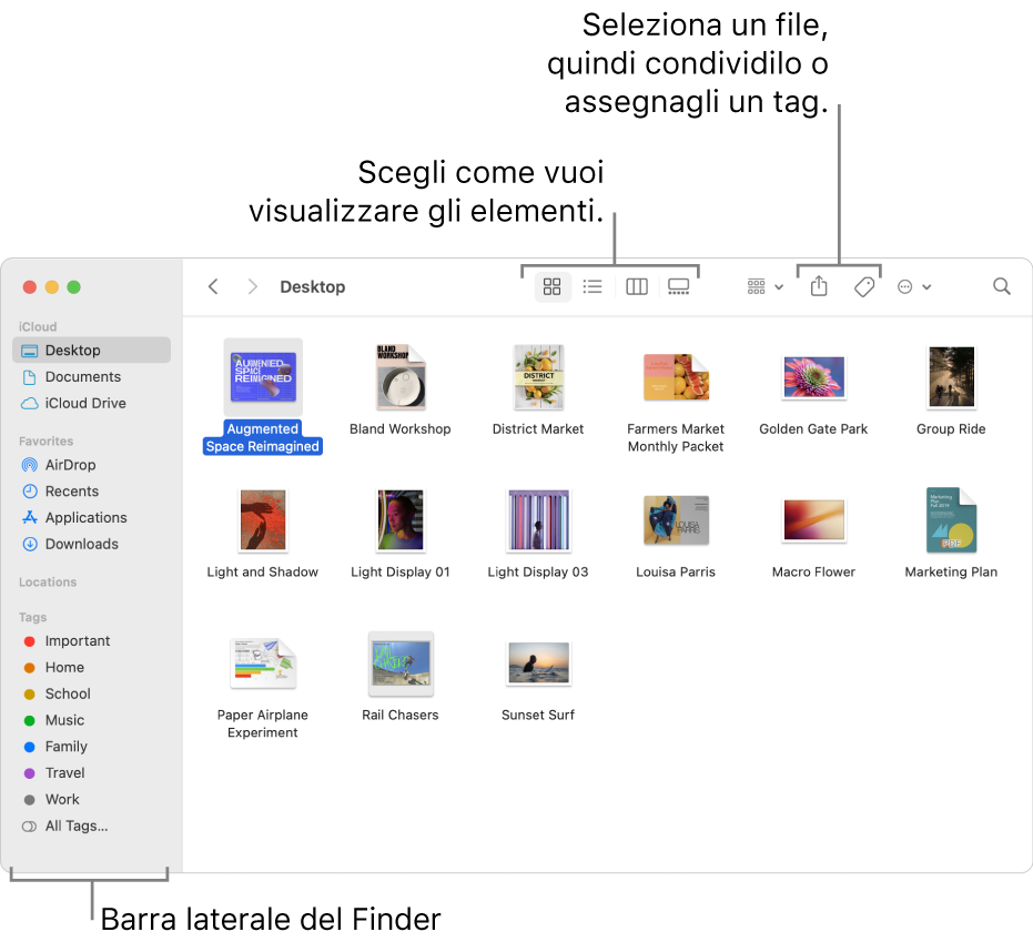 Finestra del Finder con la barra laterale del Finder a sinistra. Nella parte superiore della finestra sono presenti quattro pulsanti per cambiare la modalità di visualizzazione degli elementi nella finestra e pulsanti aggiuntivi per organizzare e condividere gli elementi.