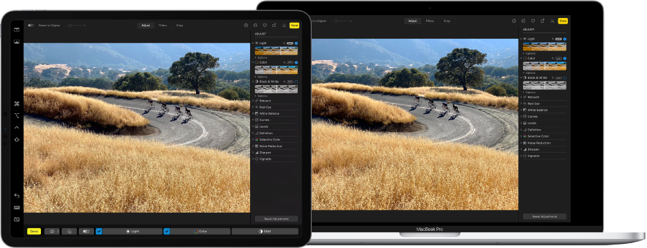 Un iPad Pro accanto a un MacBook Pro. La scrivania del Mac che mostra una foto in fase di modifica nell'app Foto. iPad Pro mostra la stessa foto, oltre alla barra laterale di Sidecar sul bordo sinistro dello schermo e Touch Bar del Mac in fondo allo schermo.