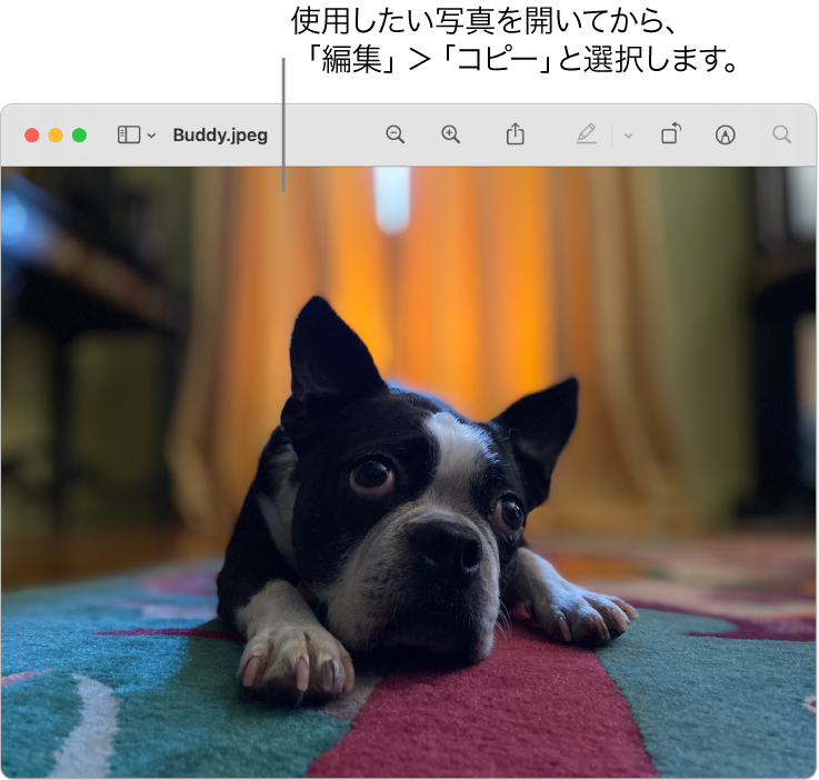 Macでファイルやフォルダのアイコンを変更する Apple サポート