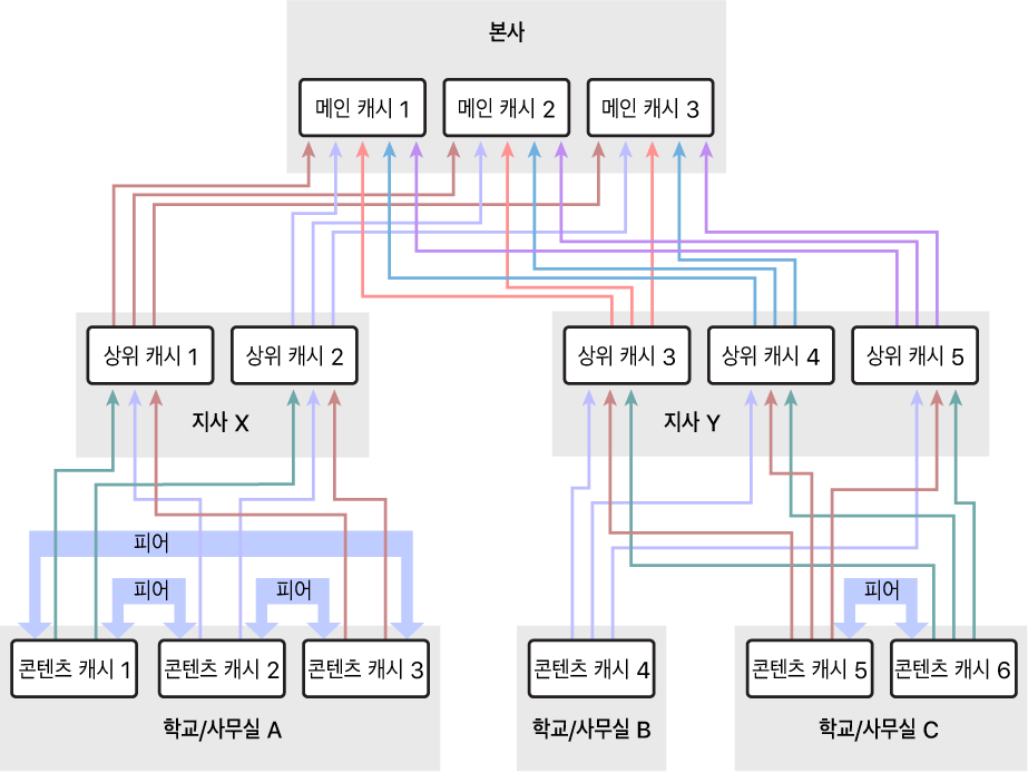 상위와 최상위 콘텐츠 캐시가 있는 3단계 계층으로 구성되어 있는 다수의 콘텐츠 캐시가 있는 네트워크. 계층에서 가장 낮은 단계인 콘텐츠 캐시만 정의된 피어를 가짐.