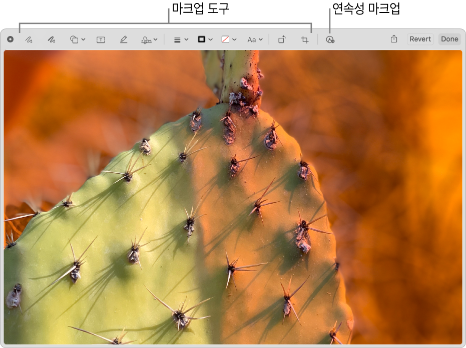 마크업 윈도우에서 마크업 도구의 도구 막대와, 클릭하면 근처에 있는 iPhone 또는 iPad에서 연속성 마크업을 사용할 수 있는 도구를 표시한 이미지.