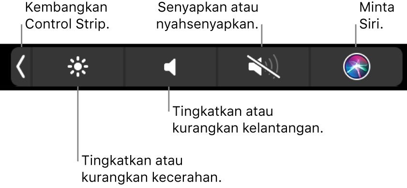 Control Strip yang diruntuhkan termasuk butang—dari kiri ke kanan—untuk mengembangkan Control Strip, meningkatkan atau mengurangkan kecerahan dan kelantangan, senyapkan atau nyahsenyapkan dan tanya Siri.