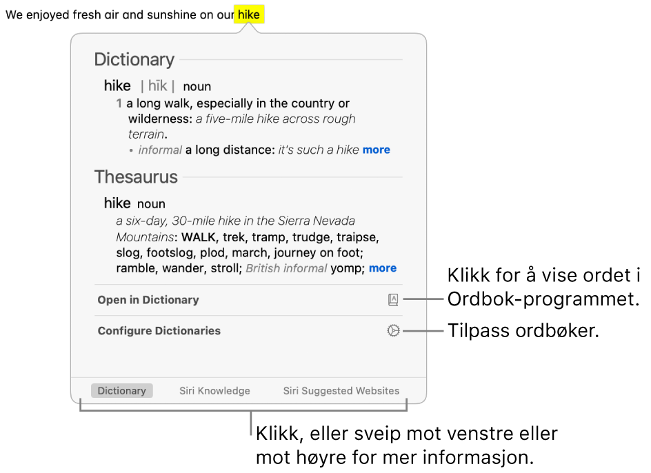 Slå opp-vinduet som viser Ordbok- og Synonymordbok-definisjoner for et ord.