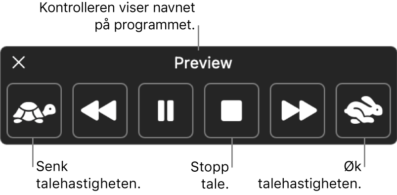 Kontrolleren på skjermen som kan vises når Macen leser opp markert tekst. Kontrolleren har seks knapper der du, fra venstre til høyre, kan redusere talehastigheten, hoppe bakover én setning, spille av opplesingen eller stoppe opplesingen midlertidig, stoppe opplesingen, hoppe framover i én setning og øke talehastigheten. Navnet på programmet vises øverst på kontrolleren.