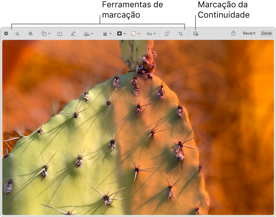 Uma imagem na janela de Marcação exibindo a barra de ferramentas das ferramentas de Marcação e a ferramenta a se clicar para usar a Continuidade de marcação em um iPhone ou iPad próximos.