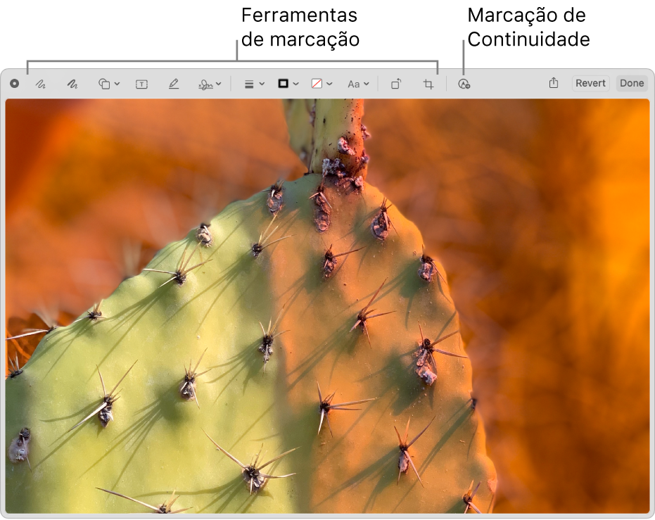 Uma imagem na janela Marcação a mostrar a barra de ferramentas de Marcação e a ferramenta para clicar para usar a Marcação do Continuidade num iPhone ou iPad que esteja por perto.