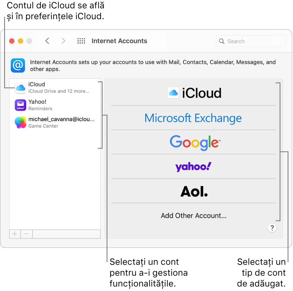 Preferințele Conturi Internet cu conturile enumerate în partea dreaptă și tipurile de cont disponibile enumerate în partea stângă.