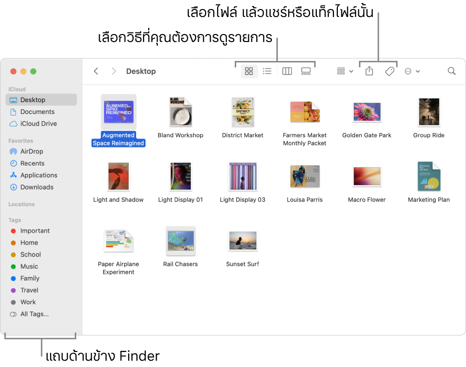 หน้าต่าง Finder ที่มีแถบด้านข้าง Finder ทางด้านซ้าย ที่ด้านบนสุดของหน้าต่างมีปุ่มสี่ปุ่มที่เปลี่ยนวิธีที่รายการแสดงในหน้าต่าง และปุ่มเพิ่มเติมสำหรับจัดระเบียบและแชร์รายการ