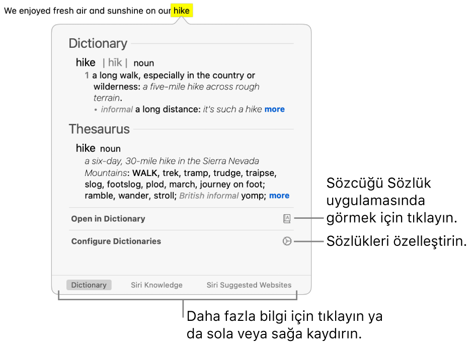 Bir sözcüğün Sözlük ve Eşanlamlılar Sözlüğü tanımlarını gösteren Ara penceresi.