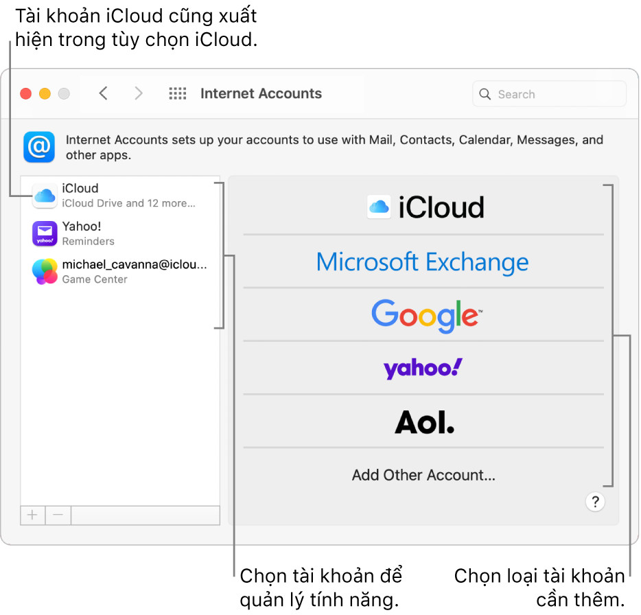 Tùy chọn Tài khoản internet với các tài khoản được liệt kê ở bên phải và các loại tài khoản khả dụng được liệt kê ở bên trái.