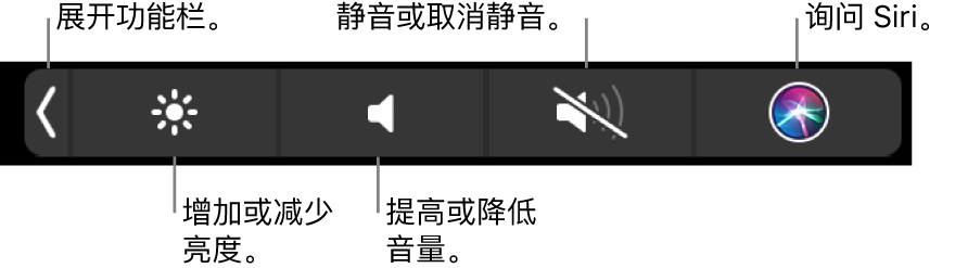 折叠的功能栏包括的按钮,从左到右依次为:展开功能栏、增加或减少显示器亮度和音量、静音或取消静音、以及询问 Siri。