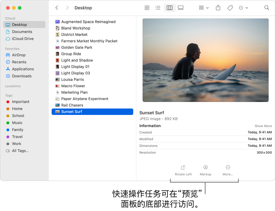“预览”面板的底部显示快速操作按钮。