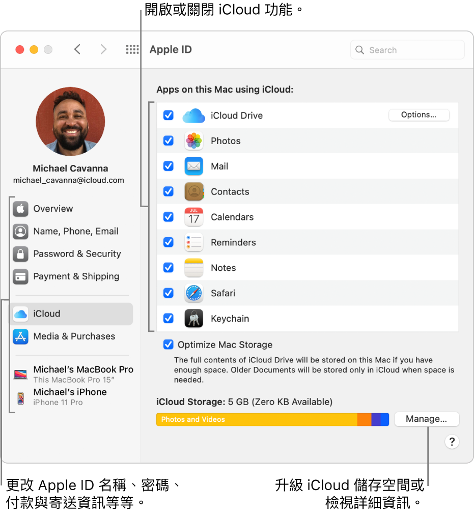 已選取所有功能的 iCloud 偏好設定。