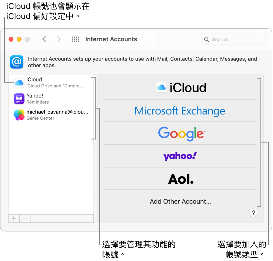 「Internet 帳號」偏好設定,其右側列出帳號,而左側則列出可使用的帳號類型。