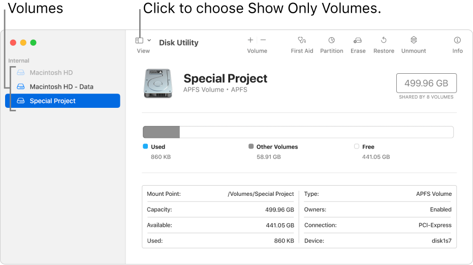 A Disk Utility window in Show Only Volumes view.
