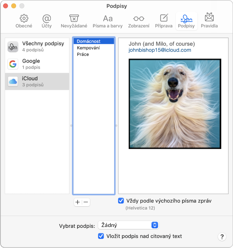 Panel Podpisy v předvolbách Mailu zobrazující podpis, který obsahuje formátovaný text a obrázek.