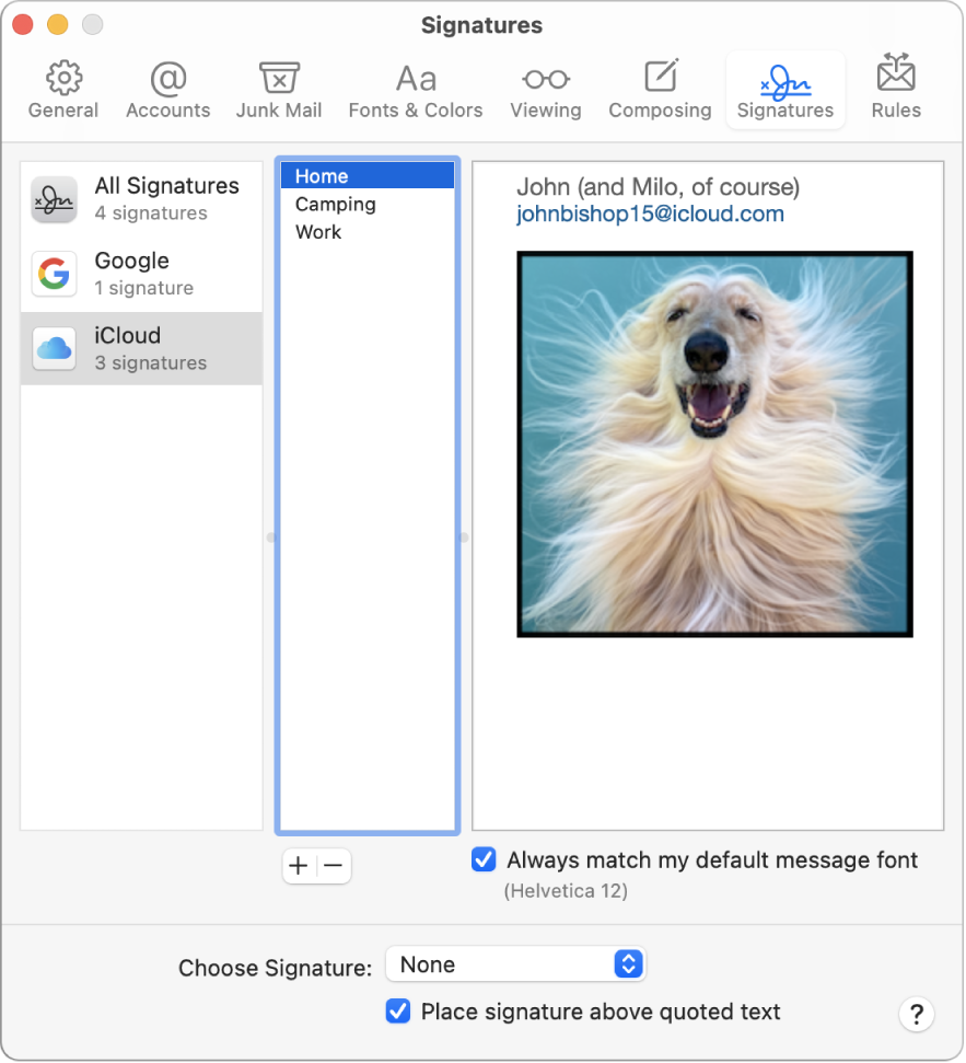 creating signatures in apple mail