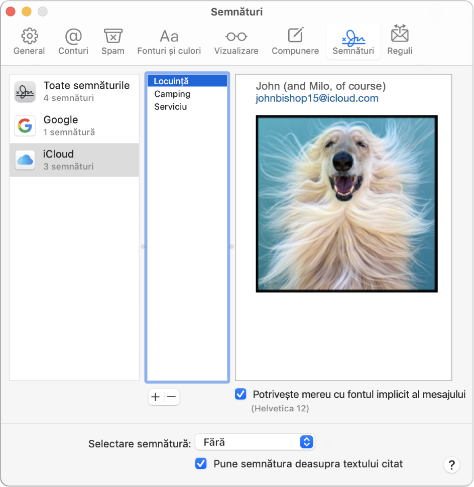 Panoul de preferințe privind semnăturile în Mail, afișând o semnătură care conține text formatat și o imagine.