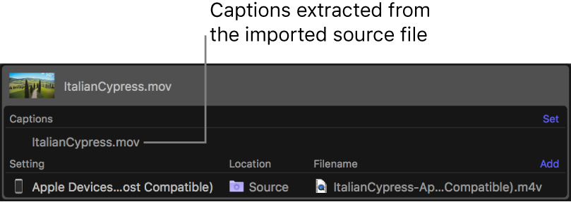 Área de lote con un archivo de subtítulos extraído del archivo fuente de vídeo