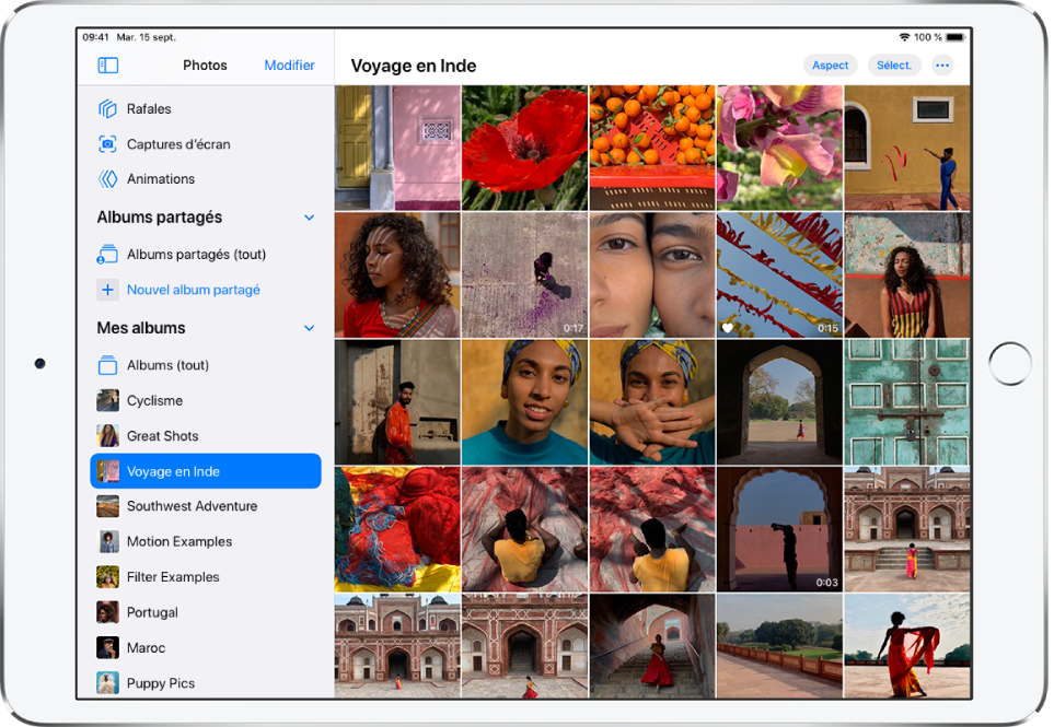 La barre latérale de Photos est ouverte sur le côté gauche de l’écran. Sous l’en-tête « Mes albums », l’album intitulé « Amazing India » est sélectionné. Le reste de l’écran de l’iPad est rempli de photos et de vidéos de l’album « Amazing India » affichées dans des tuiles.