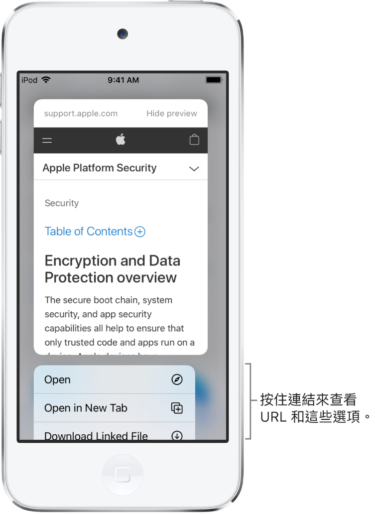 覆疊效果顯示目標 URL 的預覽,接著可能的動作列表:「開啟」、「加入閱讀列表」、「加入照片」、「拷貝」和「分享」。