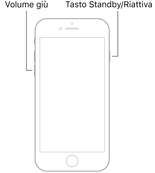 Immagine di iPhone 7 con lo schermo rivolto verso l’alto. Il tasto per abbassare il volume è a sinistra, mentre il tasto Standby/Riattiva è a destra.