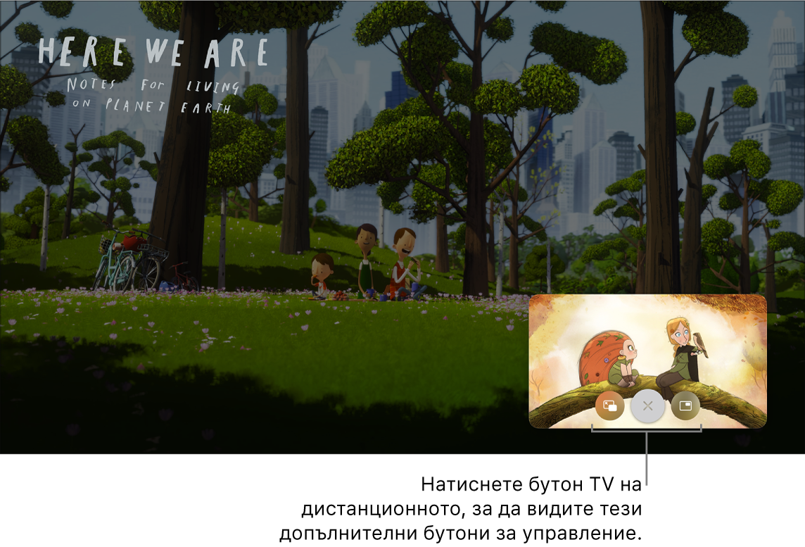 Допълнителни бутони за управление на Picture in Picture (Картина в картината)